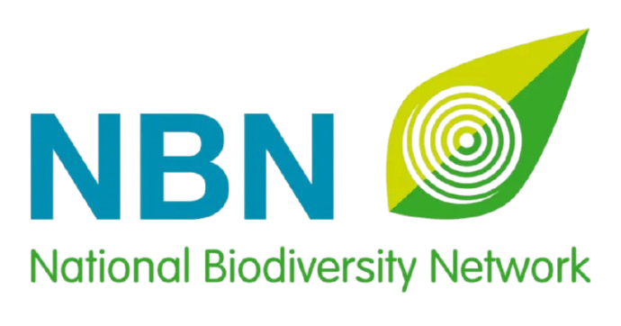 NBN
