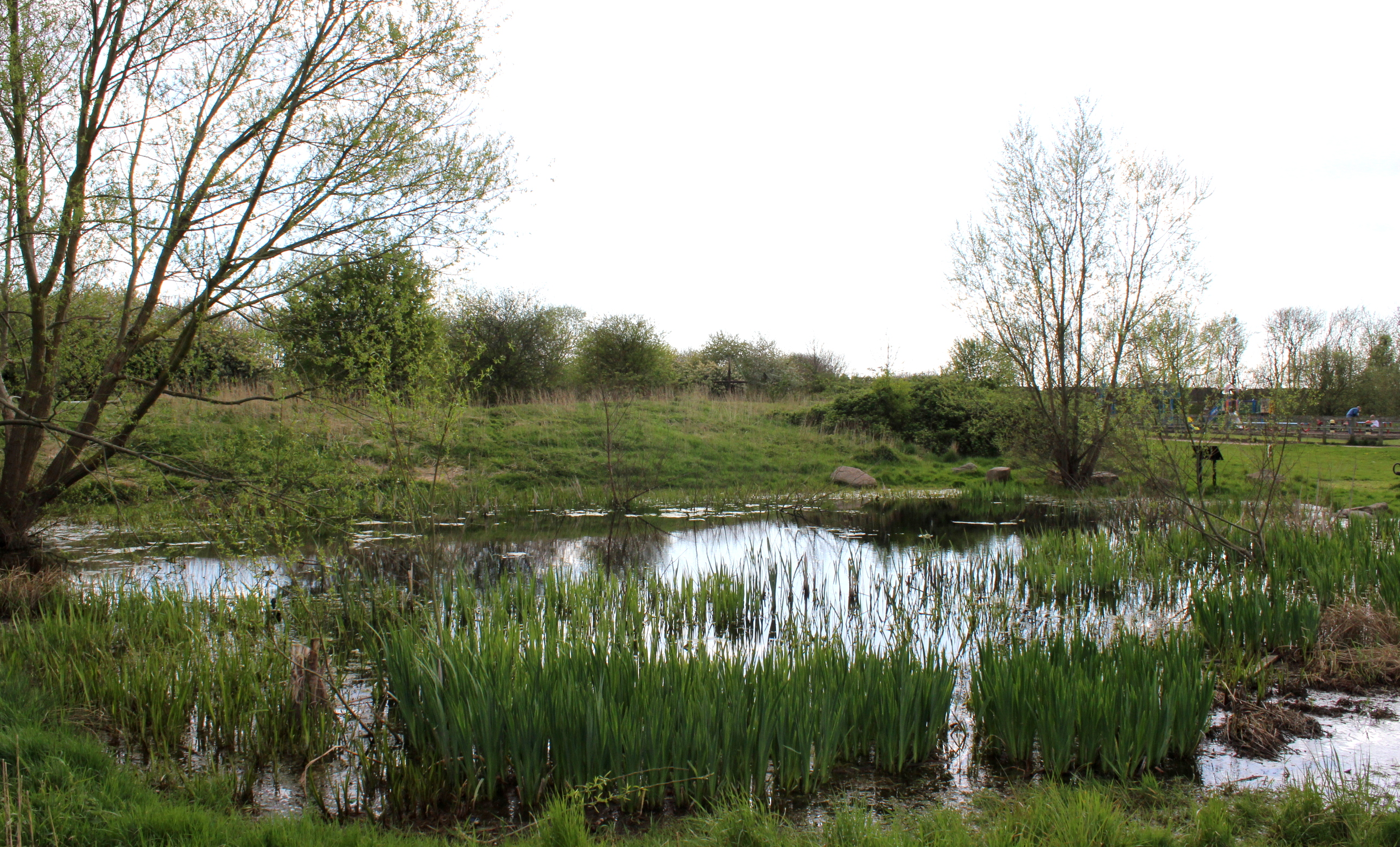 Astill Lodge Park