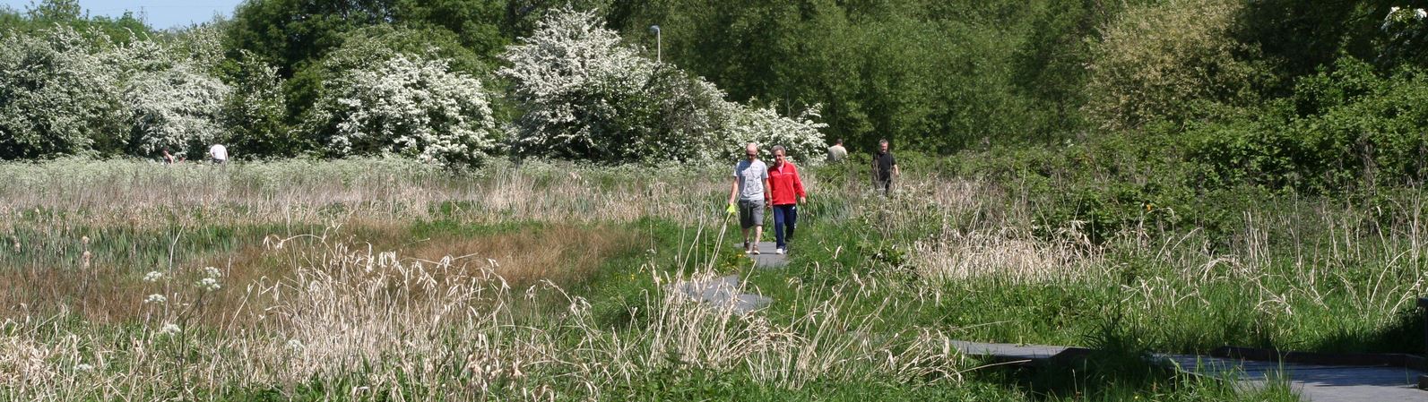 Aylestone Meadows
