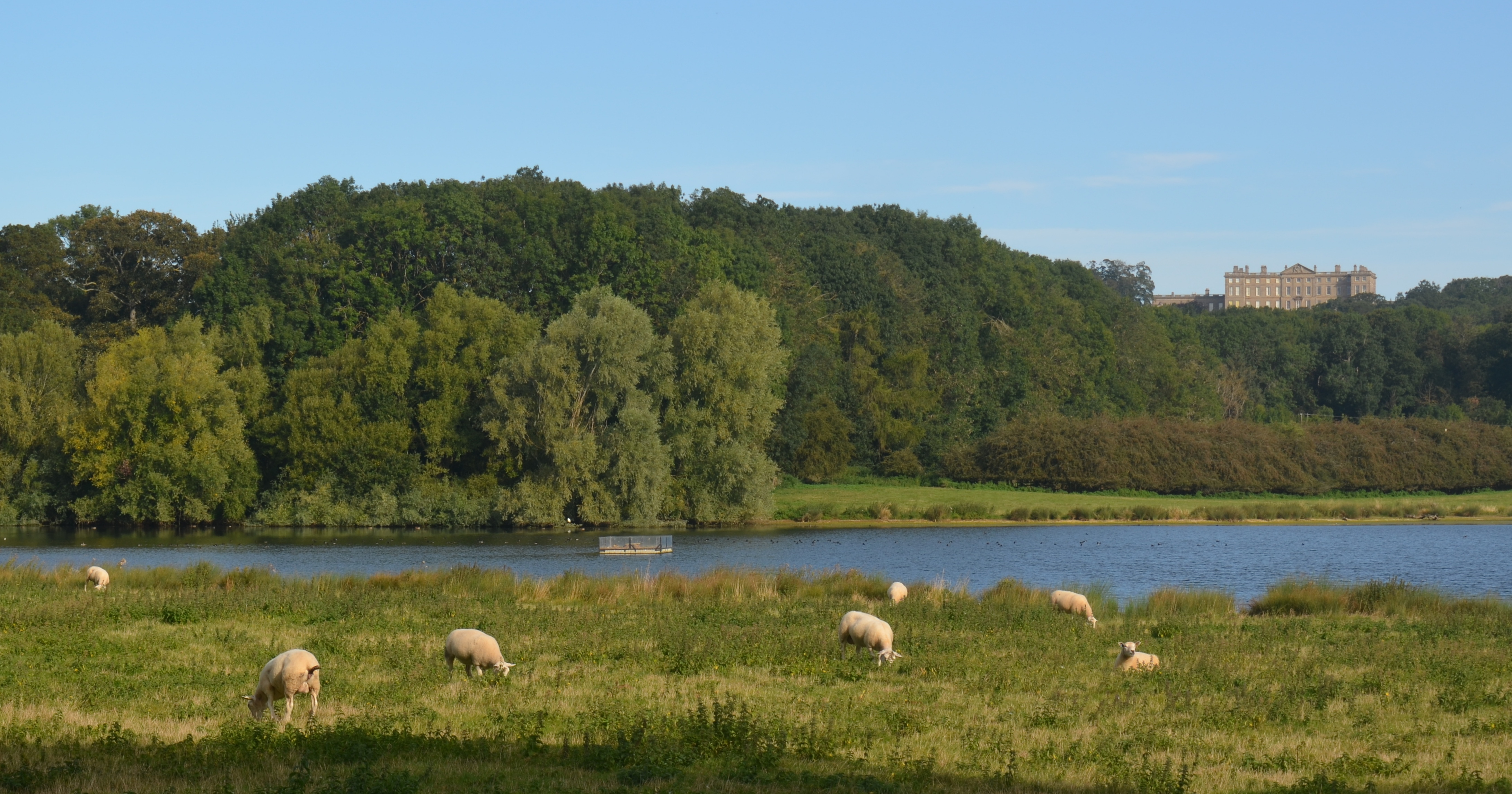 Rutland Water, Burley Fishponds
