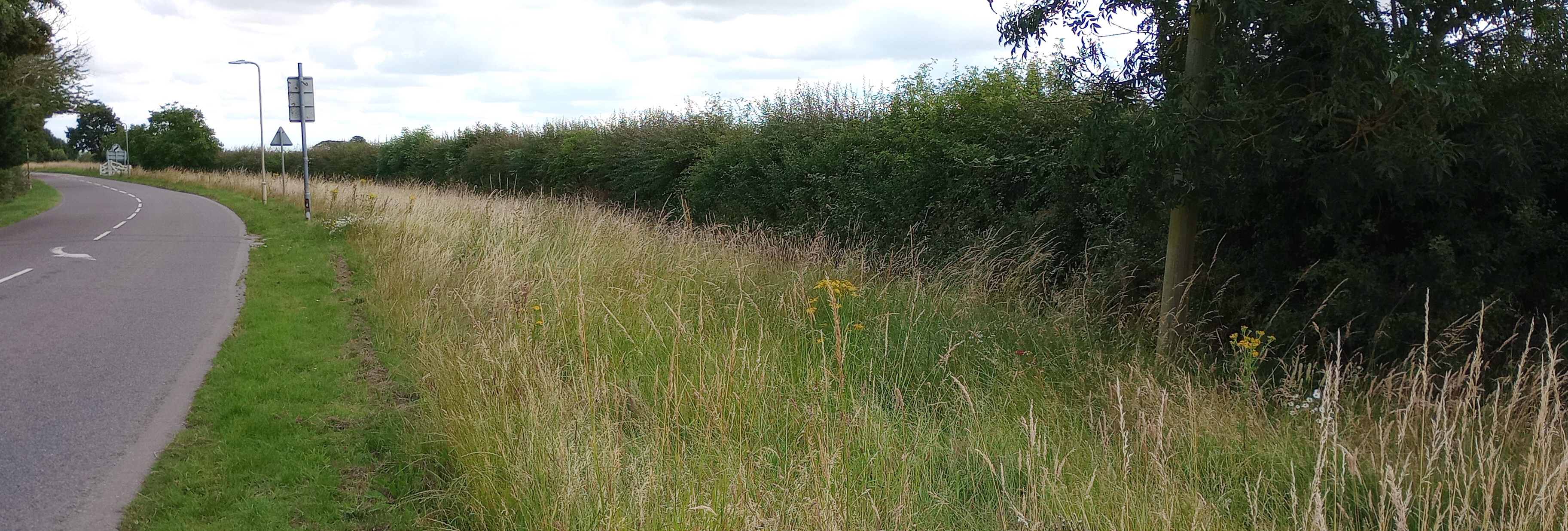 Cottesmore, Greetham Road Verge