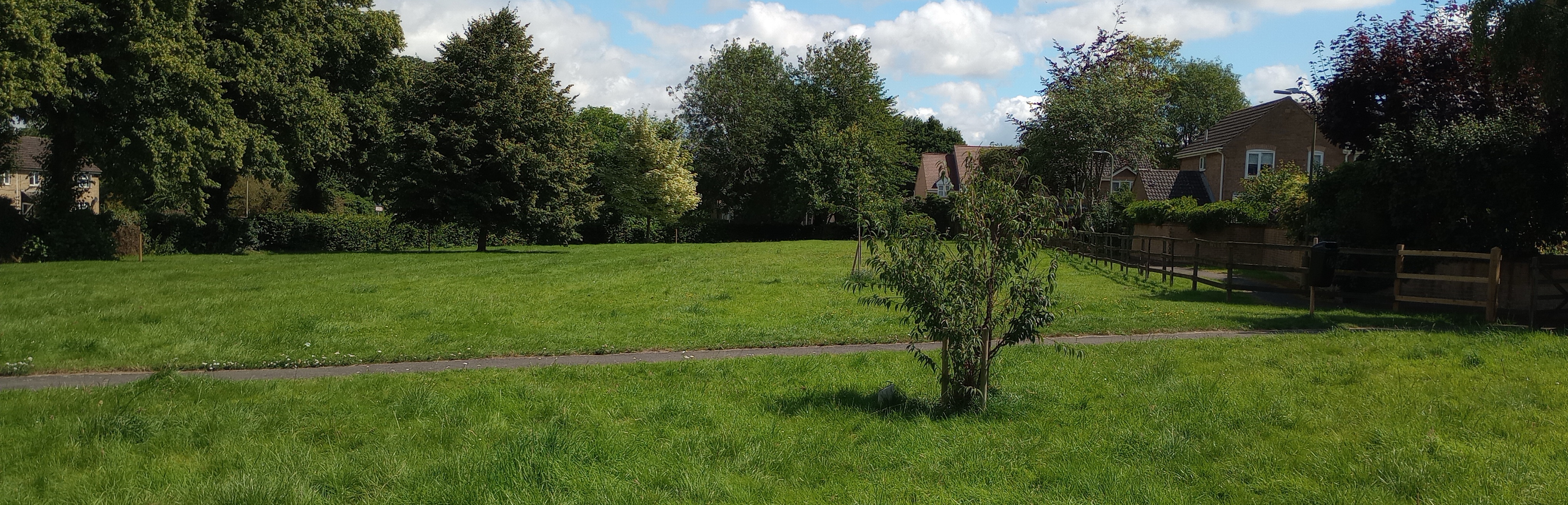 Cottesmore, The Pastures