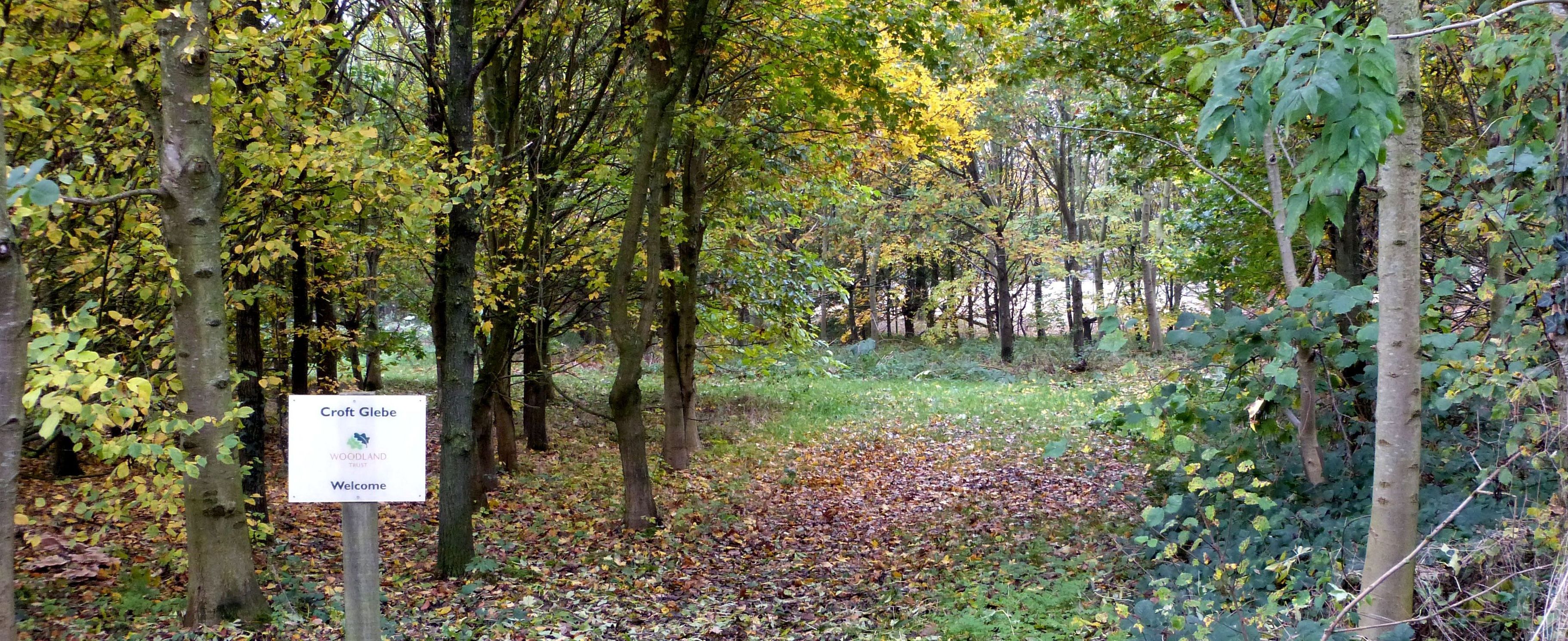 Croft Glebe