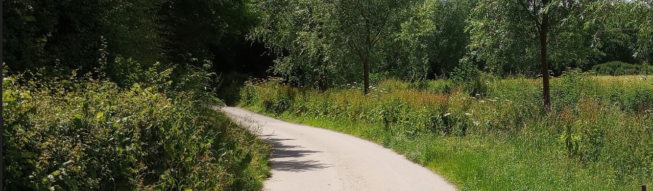 Foxton North Lane verges
