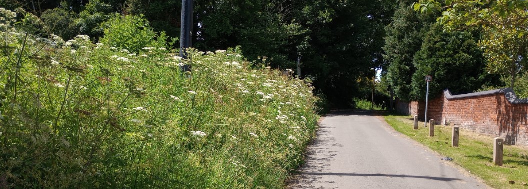 Foxton Swingbridge St verge