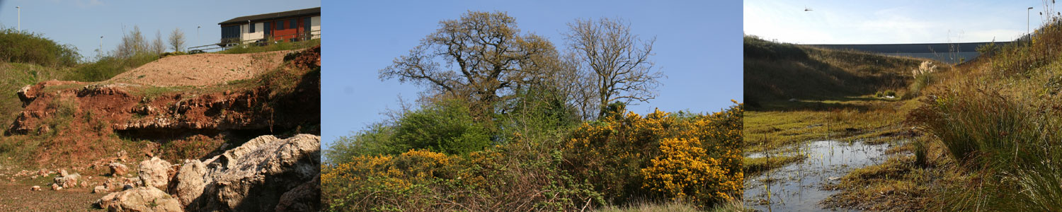 Gipsy Lane Brick Quarry