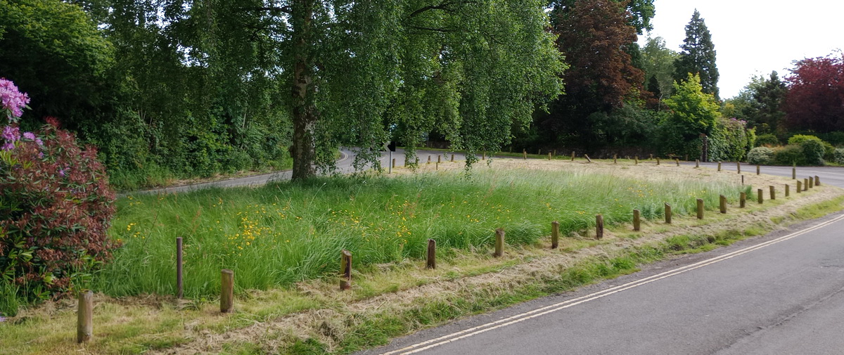 Newtown Linford, Groby Lane Verge