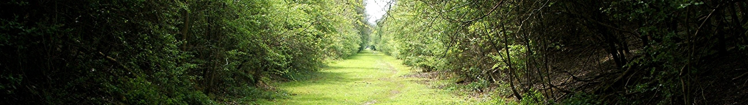 Leire, Jubilee Walk