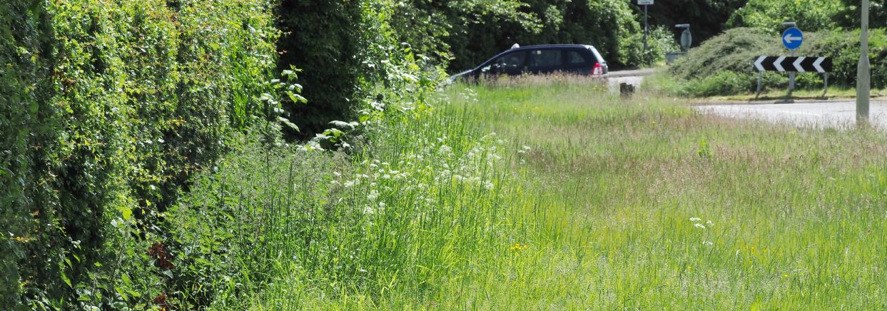 Kirby Muxloe, Glenfield Lane Verge