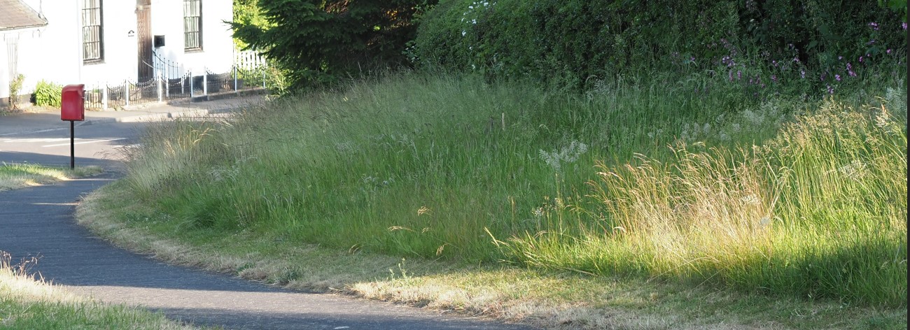 Kirkby Mallory, Main St Verge