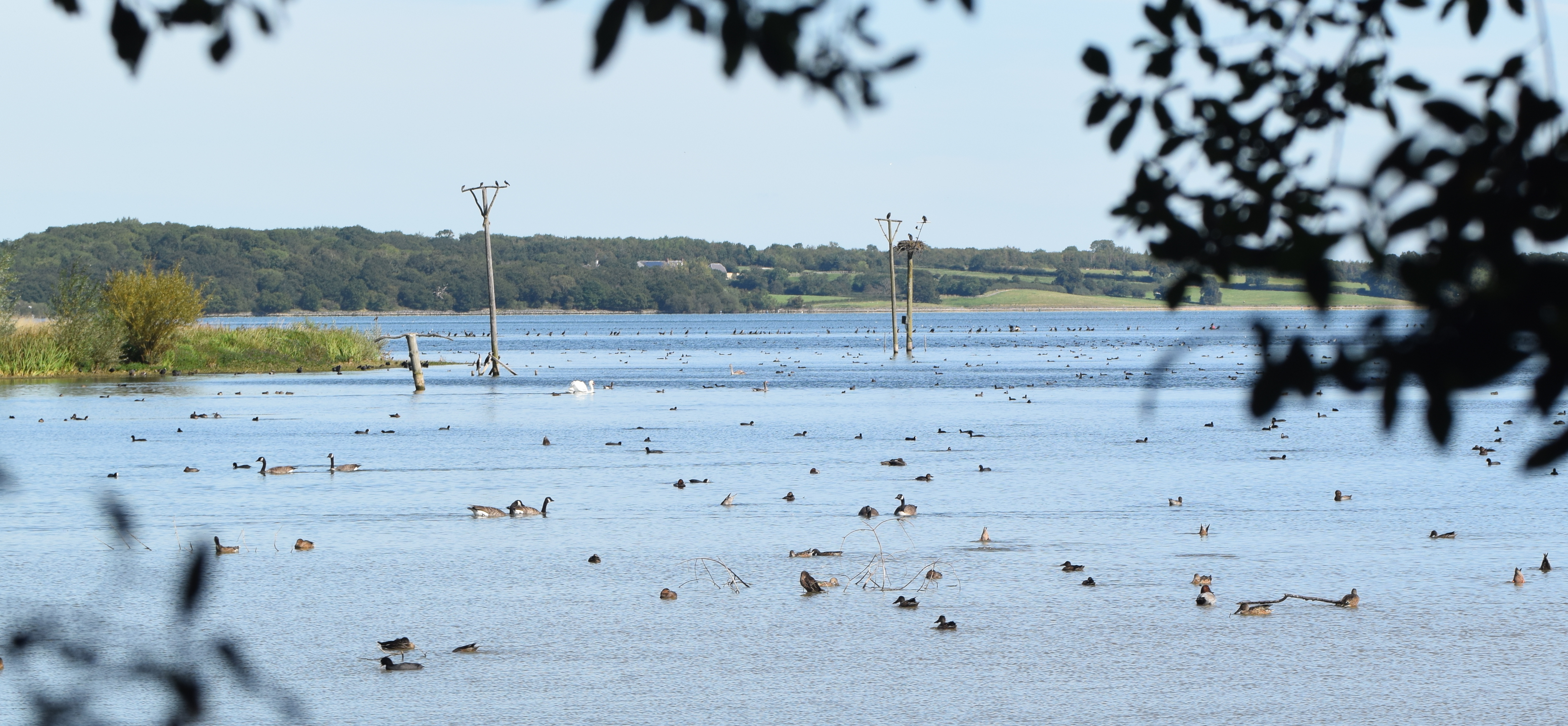 Rutland Water, Manton Bridge