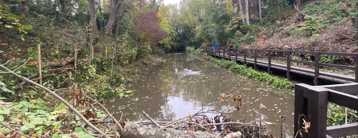 Montrose Ravine, Leicester