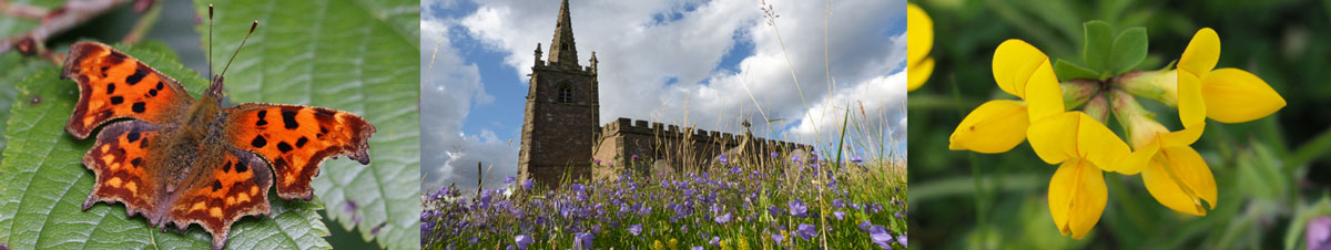 Peckleton Churchyard