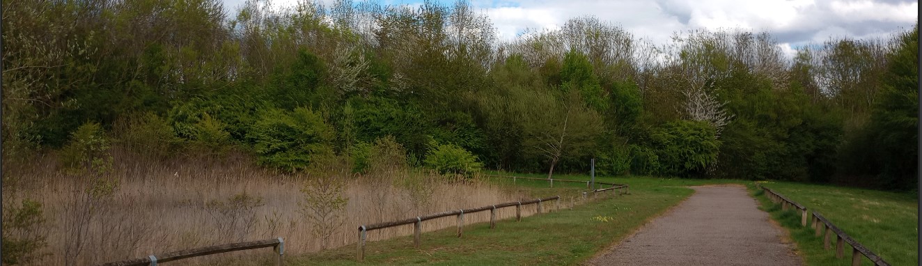 Ratby, Ferndale Park