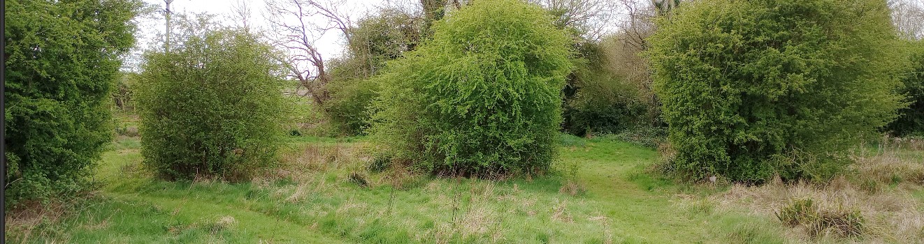 Ratby, Brook Meadow