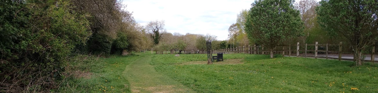 Ratby, Orchard Meadow