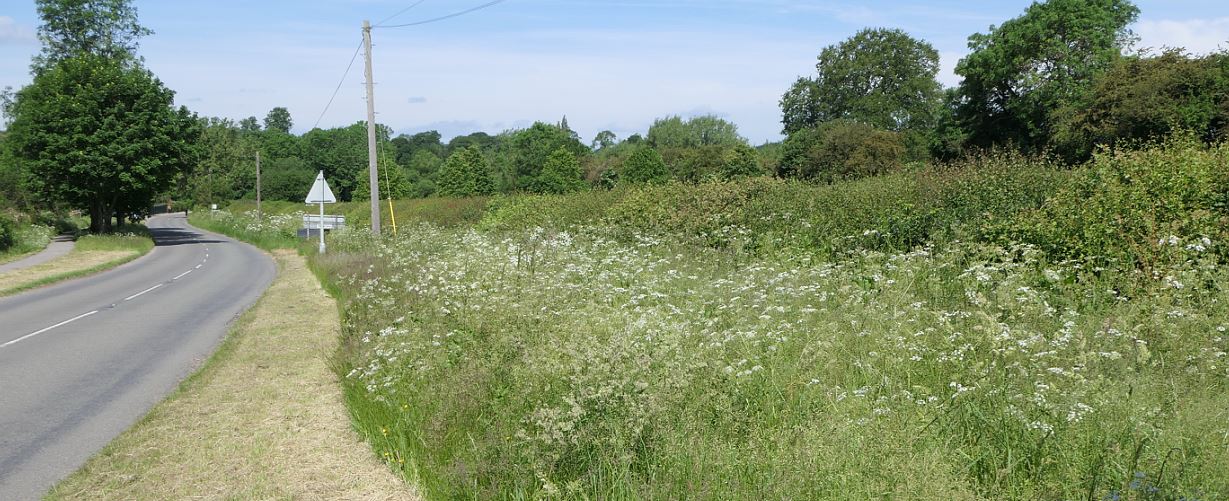 Ullesthorpe Claybrooke Rd verge