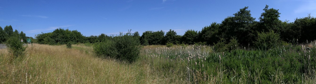 Glenfield, A50 Flood Relief Basin