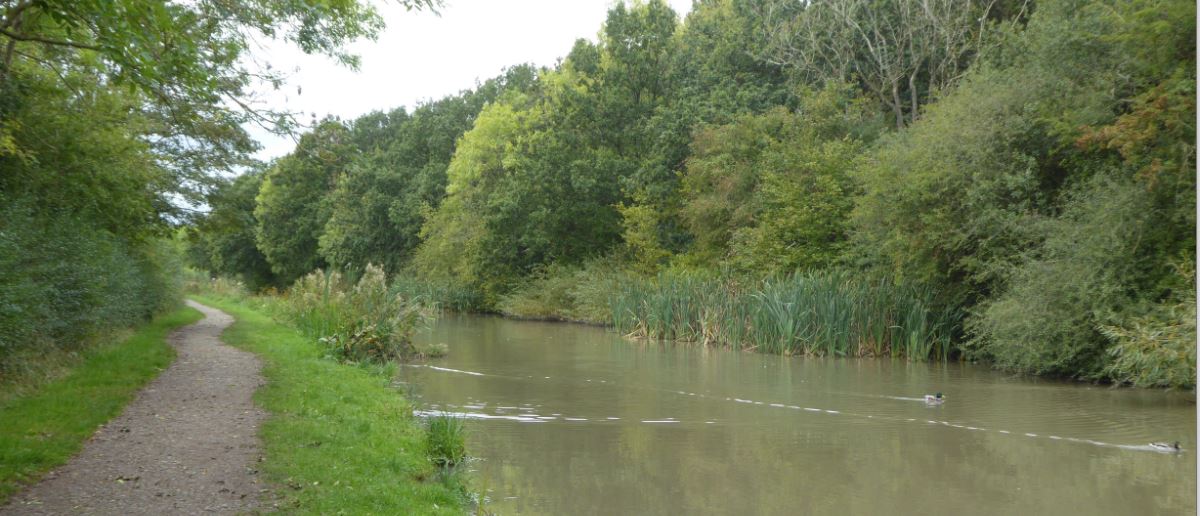 Ashby Canal, Dadlington to Sutton Wharf