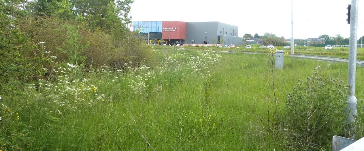 Broughton Astley Cosby Road Verge