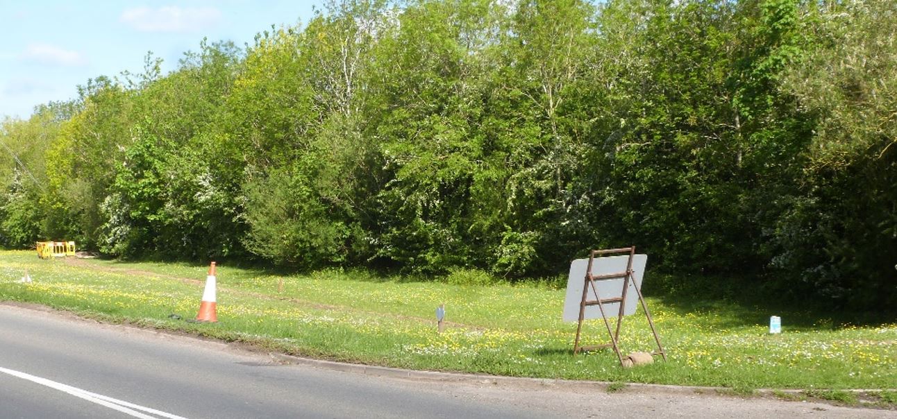 Broughton Astley, Broughton Way verge
