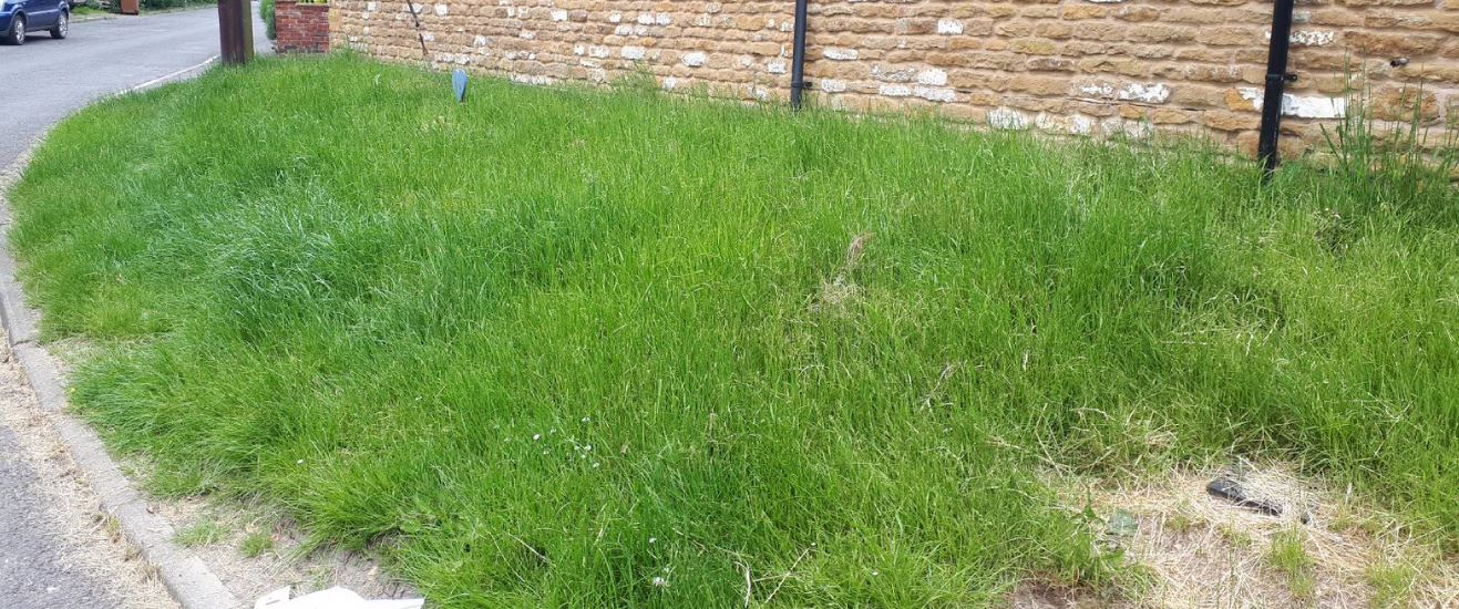 Barkestone Middle Street verge1