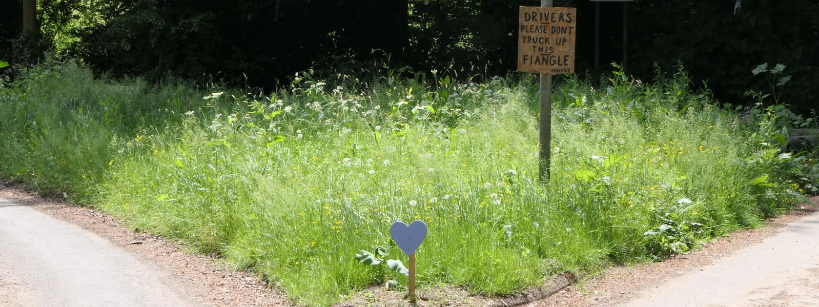 Shawell Bullaces Lane verge