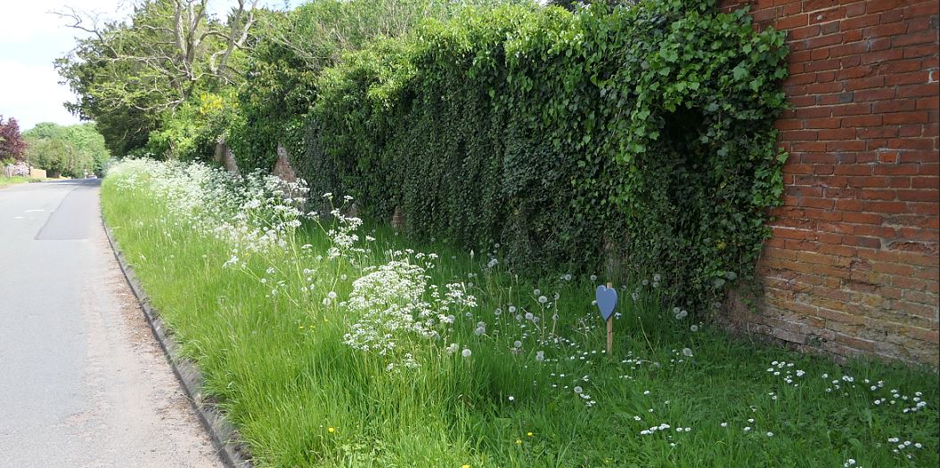 Cotesbach Main Street verge