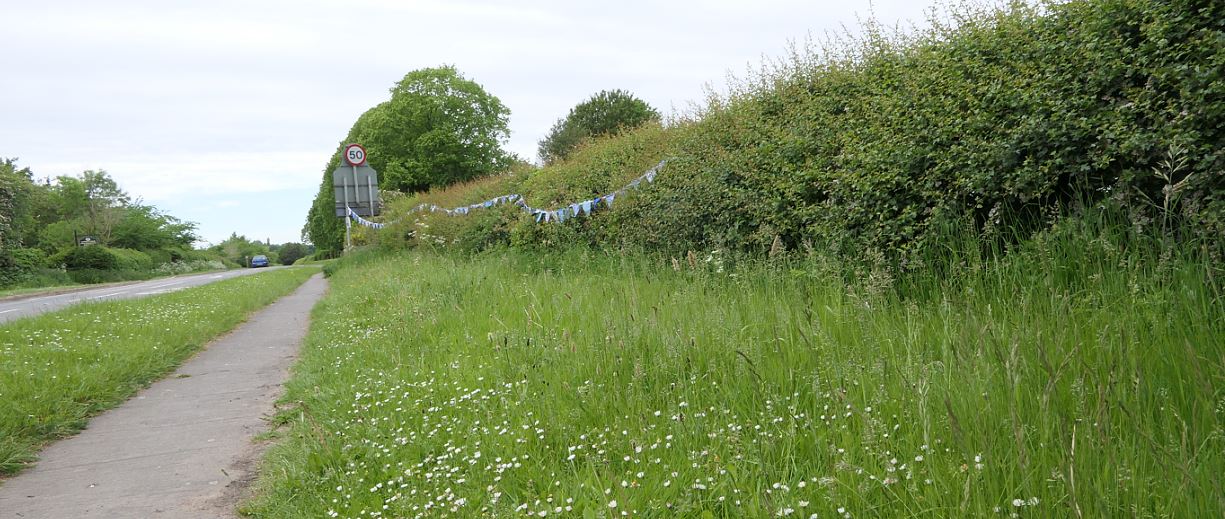 Desford - Hunts Lane verge