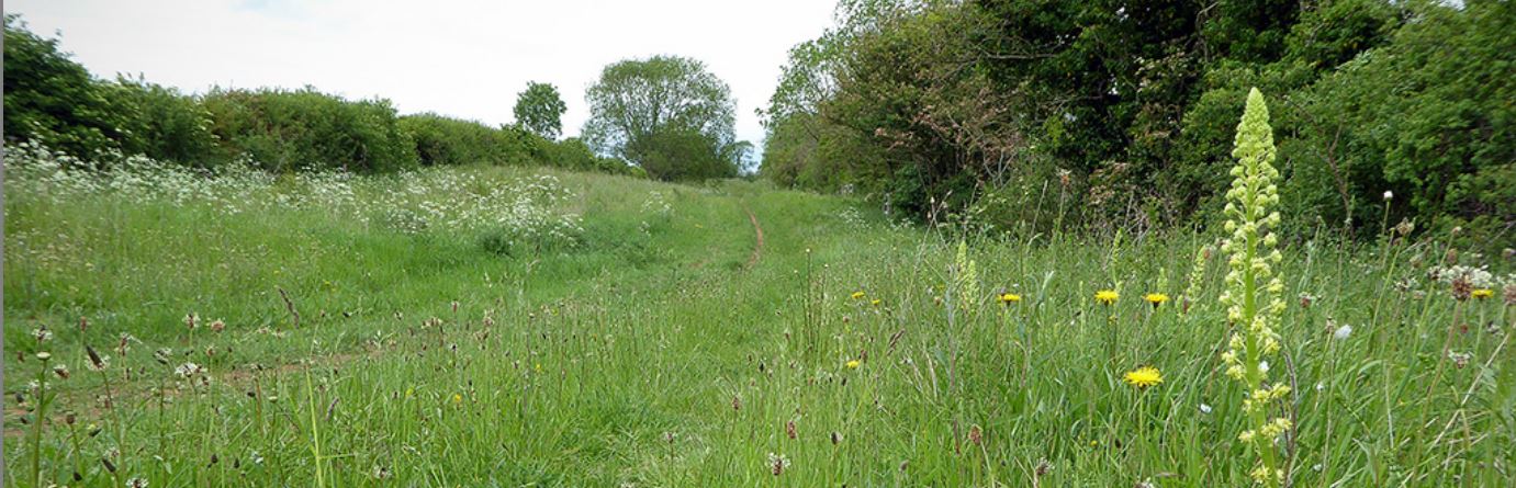 The Drift. Croxton Kerrial