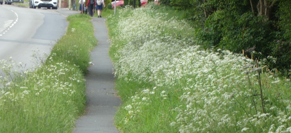 Ellistown Leicester Road verge