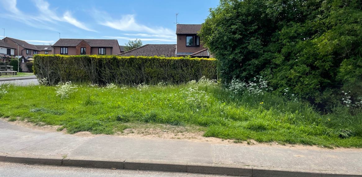 Fleckney The Meer verge