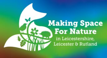 Local Nature Recovery Strategy