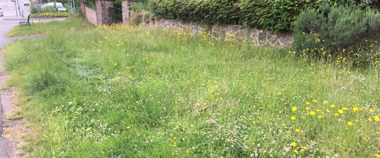 Glen Parva Leicester Road verge
