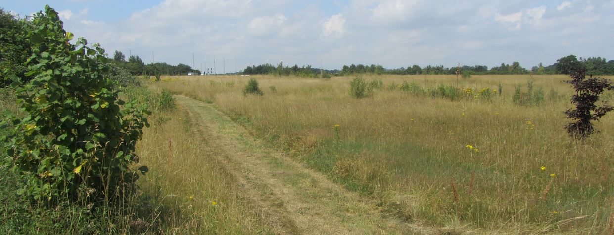 Glenfield, Brantings Park Wildlife Area
