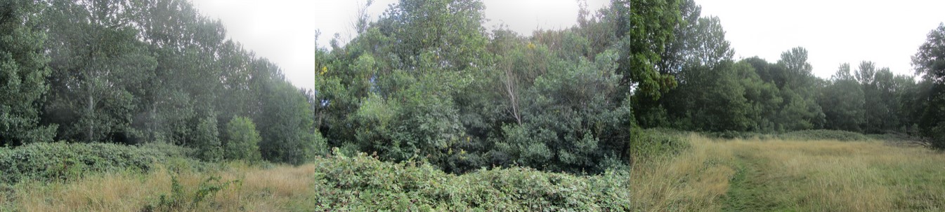 Glenfield, Gold Diggings Hill