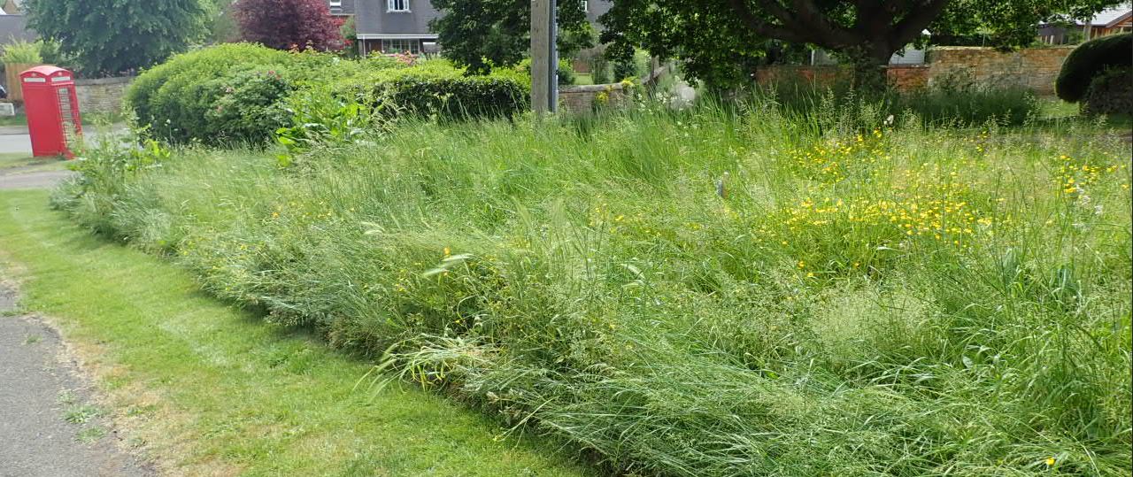 Great Easton Church Bank verge