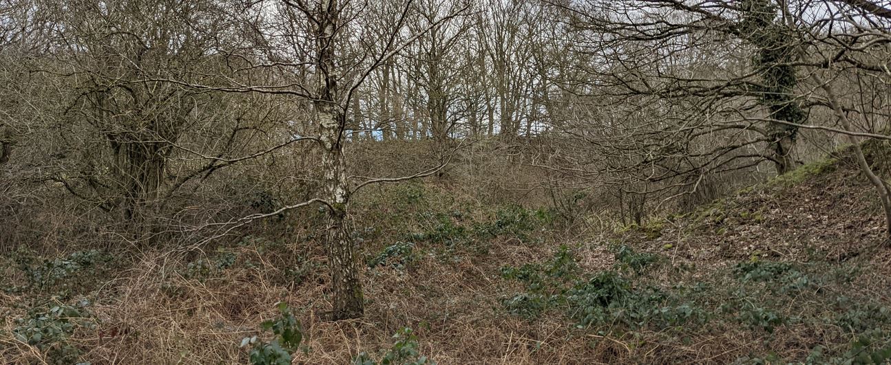 Groby, Barn Hill Quarry