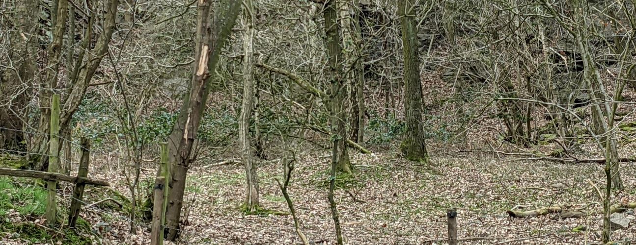 Groby, Black Spinney Quarry