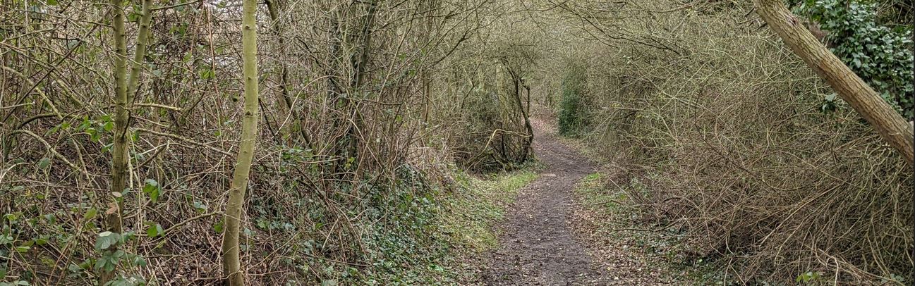 Groby, Martinshaw Woods to A50
