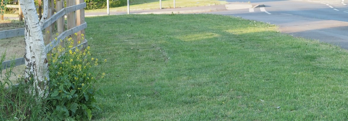 Groby, Highway Close verge