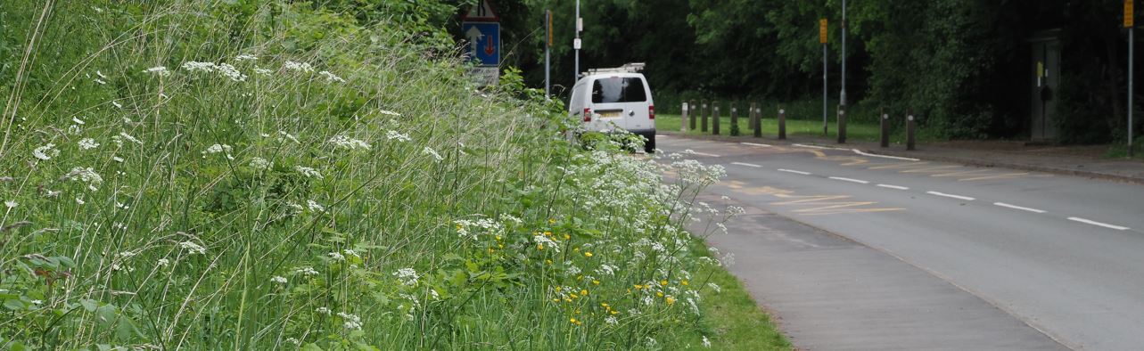 Groby, Ratby Road Verge