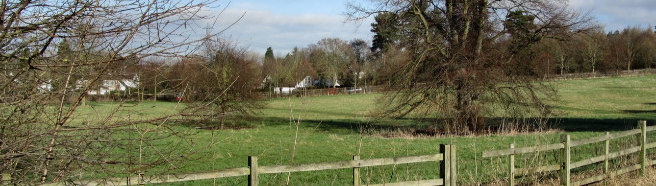 Glenfield, Gynsill Meadow