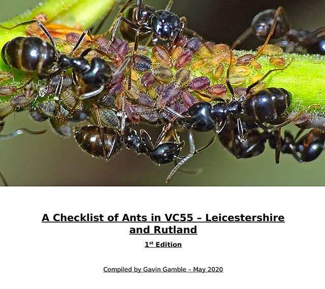 Ant Checklist