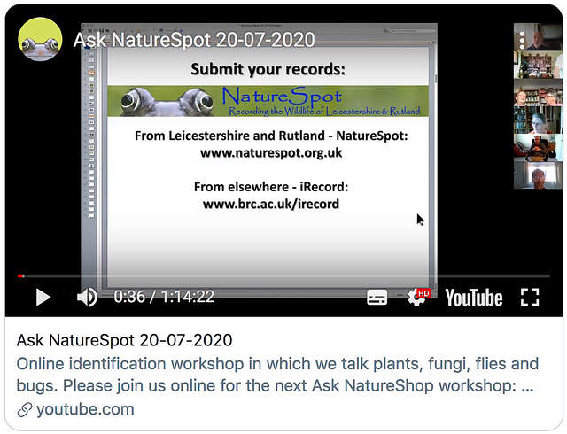 Ask NatureSpot 20.07.2020