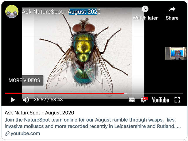 Ask NatureSpot August 2020