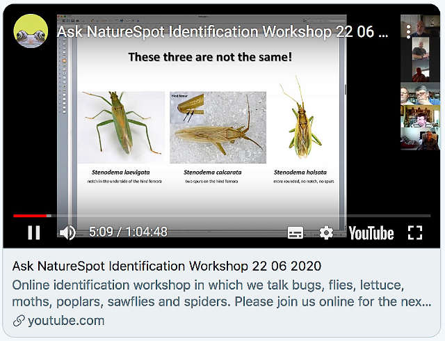 Ask NatureSpot