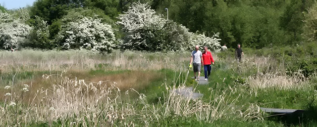 Aylestone Meadows
