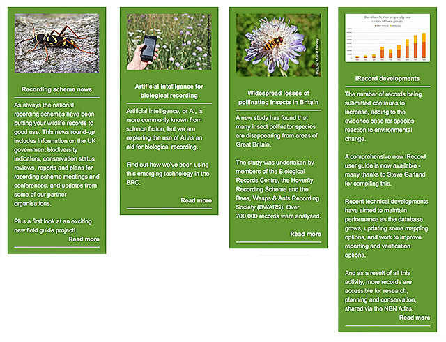 BRC Newsletter