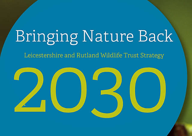 Bringing Nature Back